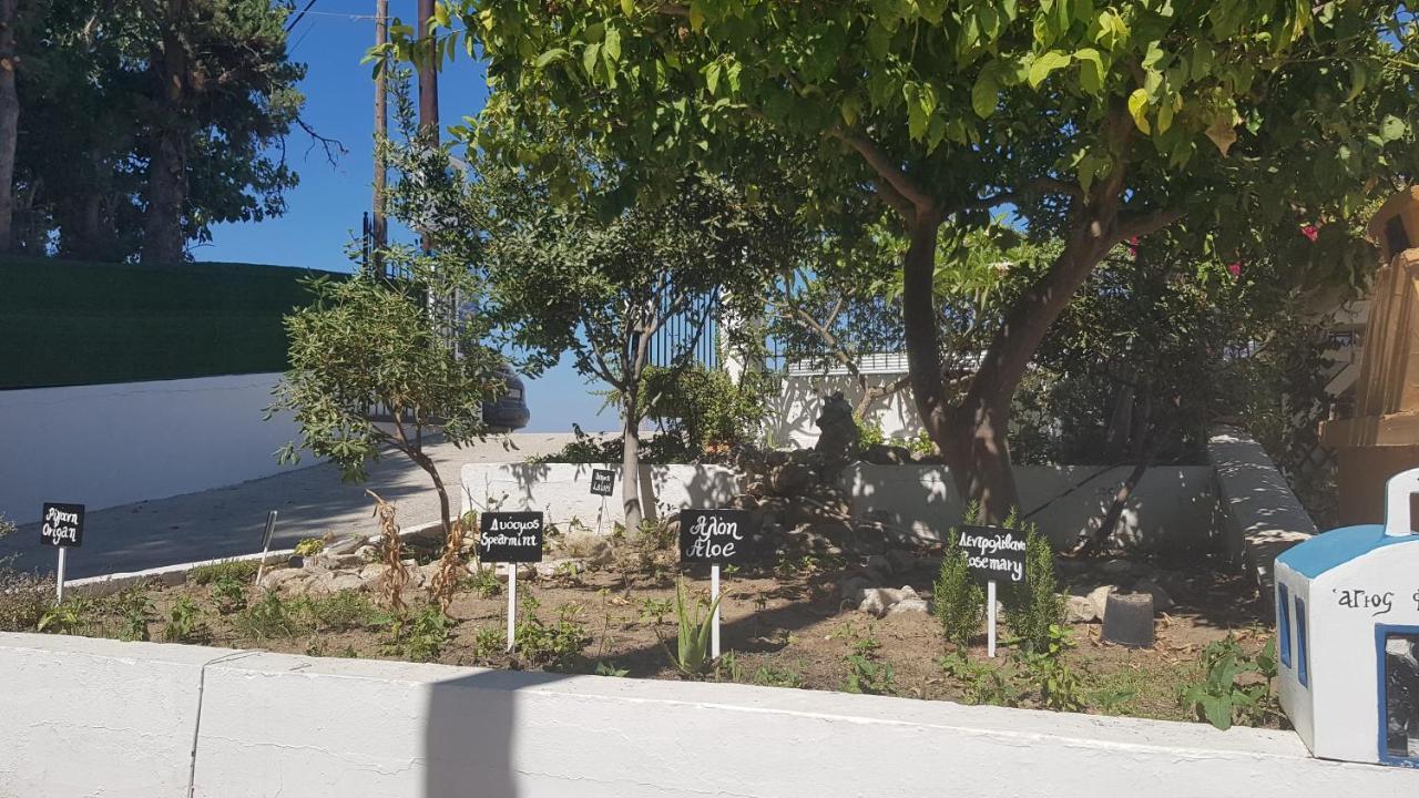 Aspro Spiti Hotel Apartments Tigaki Eksteriør bilde
